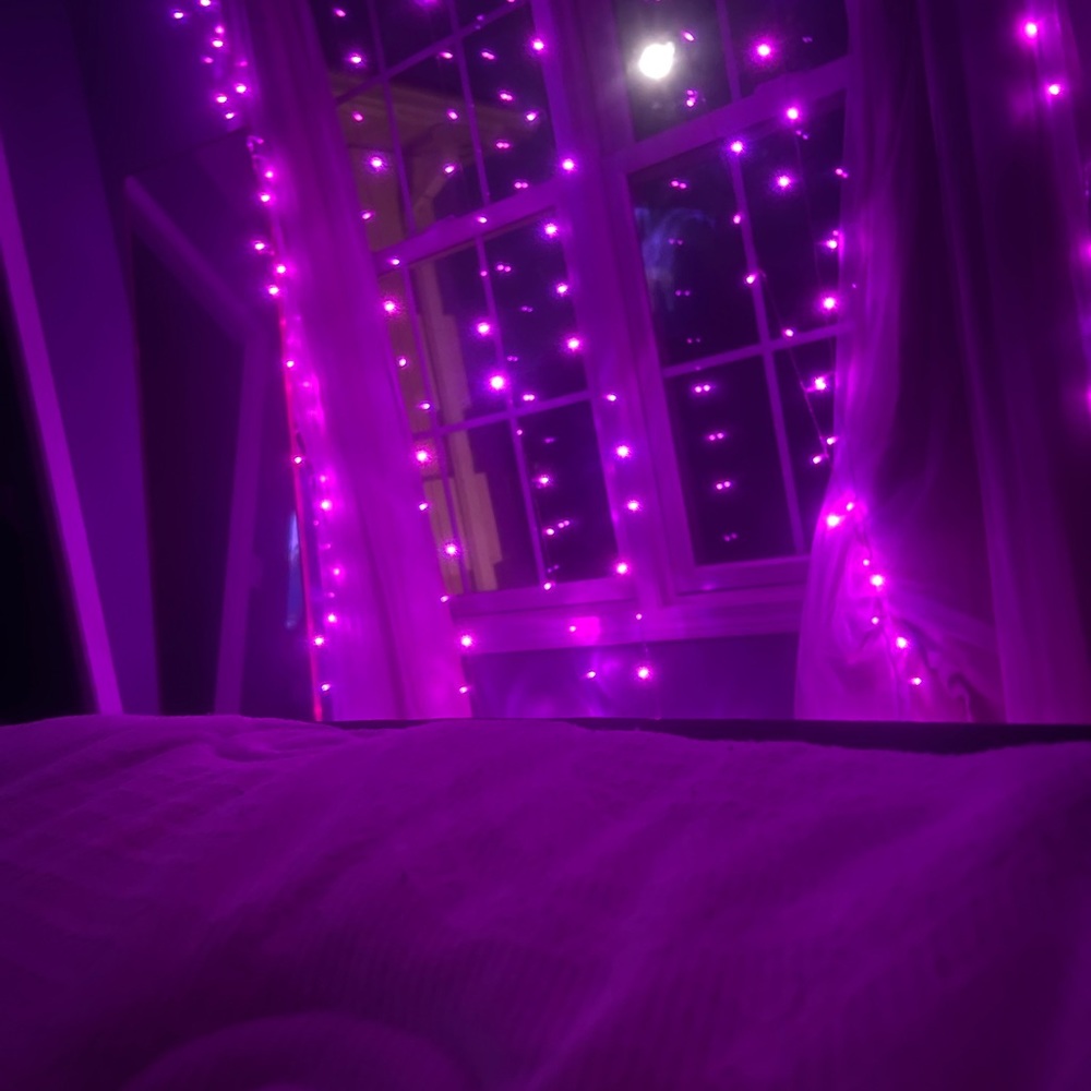 Purple String Lights for Home Parties